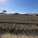 양지바른 이미지