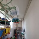 대구경진초등학교 이미지