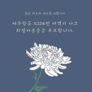 제주항공 여객기 사고 희생자 합동분향소 위치 (무안종합스포츠파크 등)