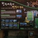 24시해뜨는집 이미지