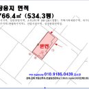 조은손성형외과의원 이미지