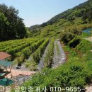 장성마을농장 이미지
