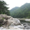 법수치통나무산장 이미지