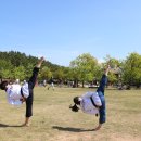 봉황태권도장 이미지