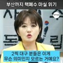 홍준표 시장이 미쳐가고 있습니다. 이미지