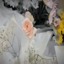 종합병원장례식장 이미지