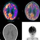 미래펫동물병원 | 펫시티 완벽 가이드 – 반려동물의 천국, 서비스부터 꿀팁까지