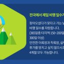 더쎈패러글라이딩 이미지