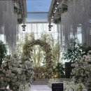 [신규]반려동물의상전문가 초급-야간 | 한국식 웨딩 열풍, 일본 여성들 ‘서울 결혼식’에 반하다