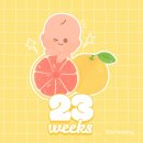 제2회 사랑나눔 부채전 | 임신일기 (23 ~ 25주) | 임당검사 통과, 첫 베이비페어 그리고 D-100