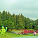 드림랜드 이미지