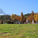 설봉공원 이미지