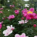 보람어린이집 이미지