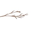 참나무 도토리 막국수 이미지