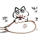 프헤 이미지