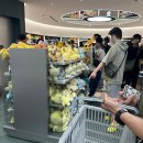 끌리는샵 | [나고야] 포켓몬 덕후 모여라! 포켓몬센터 & 포켓몬 카드샵 방문후기