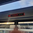 덕정목장 | 친구랑 둘이 제주 3박 4일 후기 Day 1-2