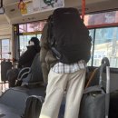 예명약국 이미지