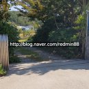 지니비치향 이미지