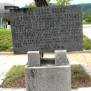 목화밭풍경 이미지