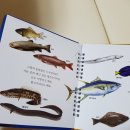 퍼스트피시카페 이미지