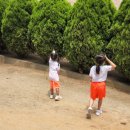 오목초등학교병설유치원 이미지