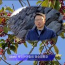 제주조이랜드 이미지
