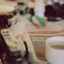 숲속의사랑별 이미지