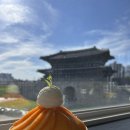 통창 명당 | 제주 애플망고 빙수 내돈내산 솔직후기 | 행궁동 헤올커피로스터즈 | 주말 웨이팅 주차...