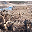 수청농장 이미지