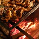 정감농장 이미지