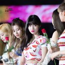 모모 - 643990 | 모모