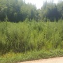 입석리경로당 이미지