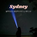 블루마운틴관광호텔 | 호주 시드니 블루마운틴 별빛 투어 추천 날씨 팁 제니 포토존