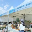 『시니어 힐링 뮤직테라피』 이미지