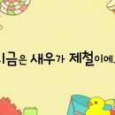 금마왕새우