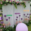 R보양 승승장구 법률정보제공 및 경제 이미지