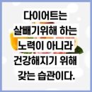 신나GO점핑