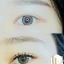 둔산중로-19 이미지