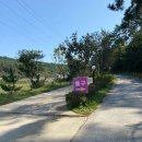 태안둘레길캠핑장 이미지