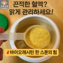 유화약국 | [약국전용 레시틴 추천] 콜레스테롤·혈관·뇌 건강 한 번에! J&amp;H 바이오 바이오레시틴 리뷰