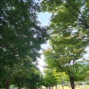 투썸플레이스(문경온천지구점)
