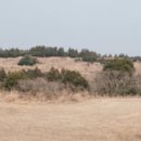 성읍1리마을회관 이미지