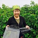 늘햇살농원 이미지