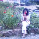 하이디하우스 이미지