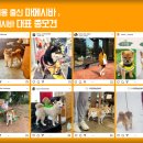 루이몽 이미지