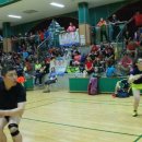 불암체육관 이미지