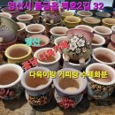 꽃담다육