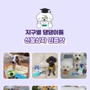 지구별댕댕이 이미지