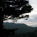 민지민박 Daum카페